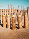 Gourde / thermos en bambou 500ml , motif Chêne - AztekaFR